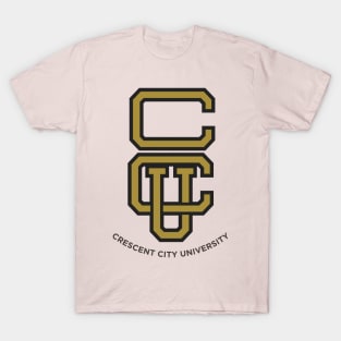 Crescent City bookish shirt for every Sarah J Maas fan! T-Shirt